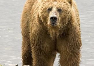 Christopher Martinez